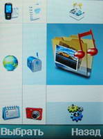 Samsung SGH-D600