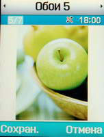 Samsung SGH-D820