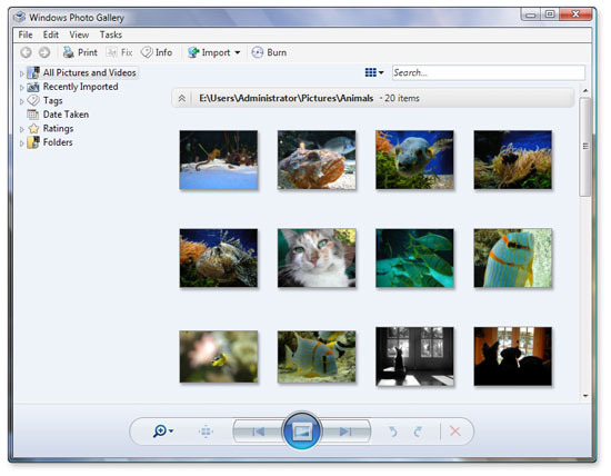 windows vista photo gallery