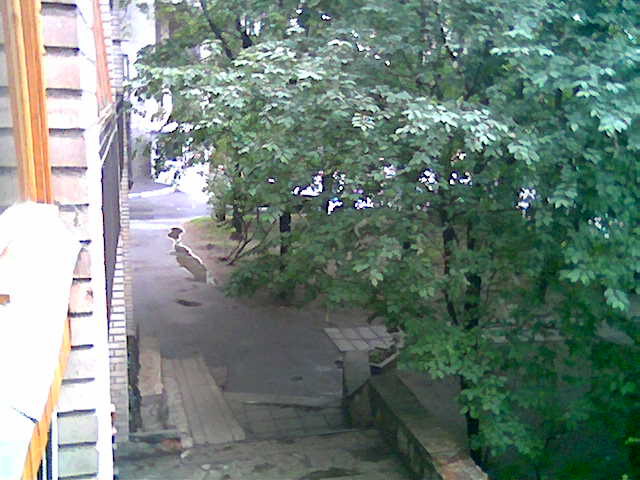 Nokia 6103