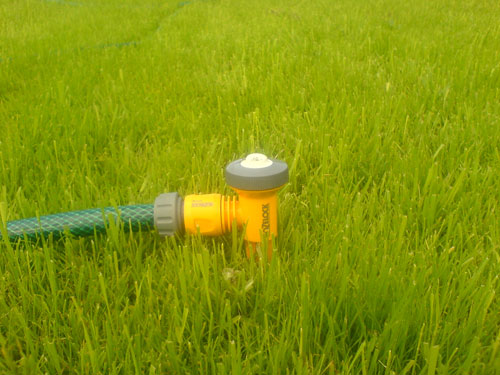 Фото Sony Ericsson W810
