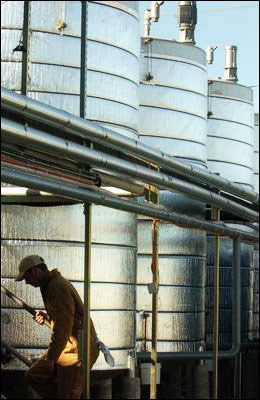 Biodiesel