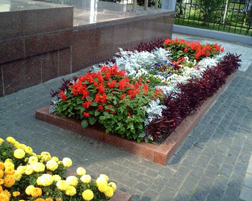pic41.jpg