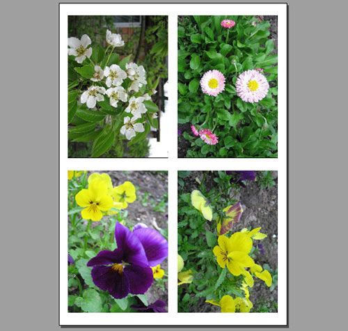 PhotoPrint