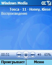 Windows Media Player, ���� ���������