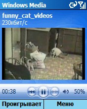 Windows Media Player, ��������������� ����������