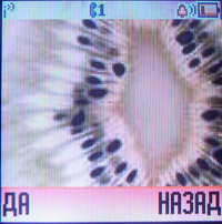2_resize.jpg
