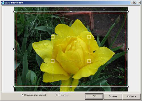 Canon Easy-PhotoPrint