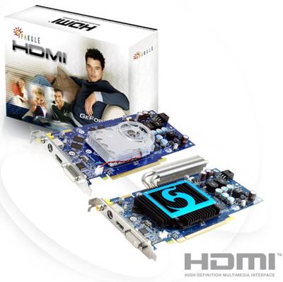 SPARKLE GeForce 7900 GS HDMI