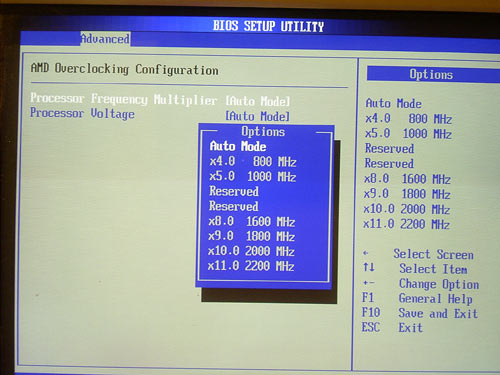 bios_select_multi.jpg