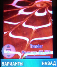 ����� Motorola RIZR Z3