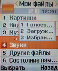 Обзор Samsung SGH-E250.