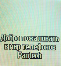Pantech PG 3300