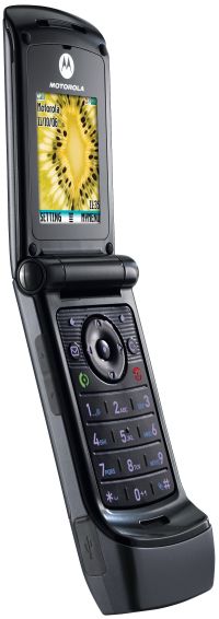 Motorola W355