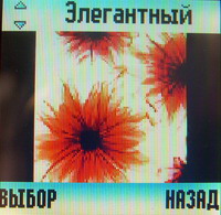 Экран Motorola W205