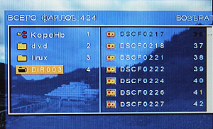 X-Digital TFDVD-8500. ����