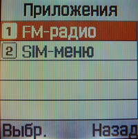���� Samsung SGH-C160