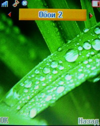 ����� Haier M300