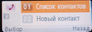 ���� Samsung SGH-F300