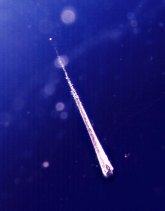 ������� ��������� �������� � ������� ����� Stardust (NASA)