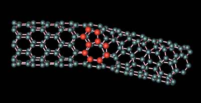 Louie_nanotube.jpeg