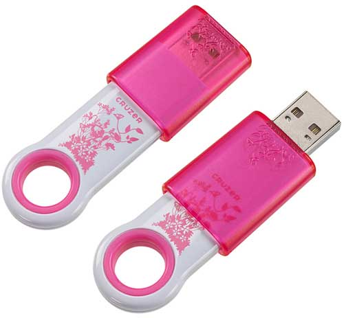 ������ SanDisk 8GB Cruzer Fleur ���������� ��� ���