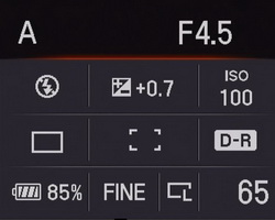 Sony  DSLR-A200. �������� ����.