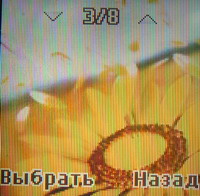 10_resize.jpg