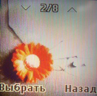 11_resize.jpg