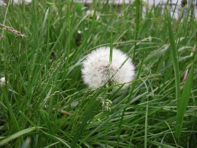 CIMG0066_s.jpg