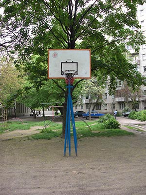 CIMG0069_s.jpg