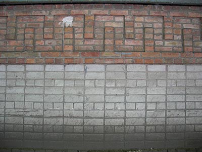 CIMG0087_s.jpg