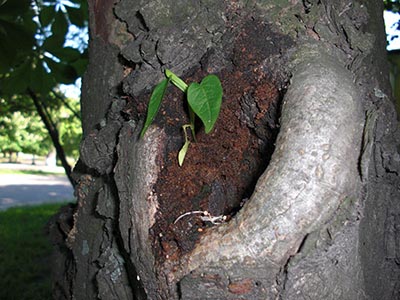 CIMG0089_s.jpg