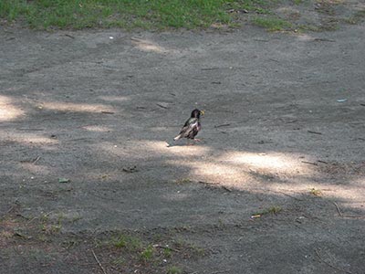 CIMG0105_s.jpg