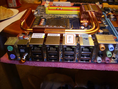 back_panel.jpg