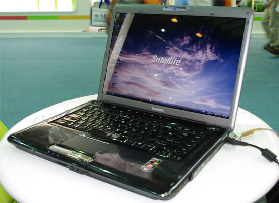 Toshiba A300g