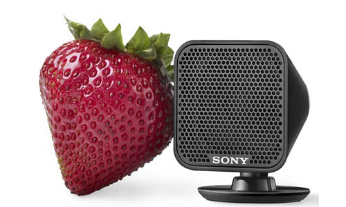 Sony_HST-S100_speaker
