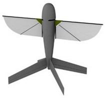 nano-air-vehicle