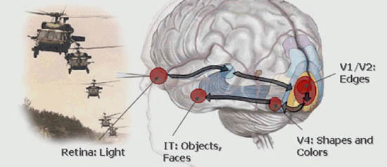 northrop-grumman-mind-biono
