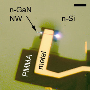 GaN