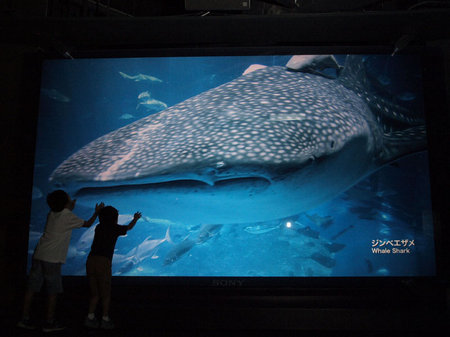 Гигантский 3D-аквариум в штаб-квартире Sony