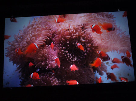 Гигантский 3D-аквариум в штаб-квартире Sony
