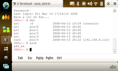 Nokia N810. �������� XTerm