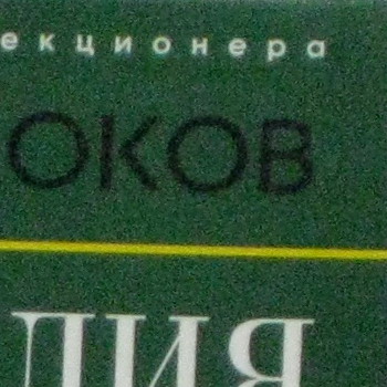 800_crop1.jpg