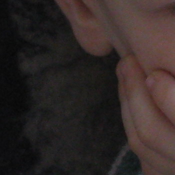 daylight1_crop.jpg