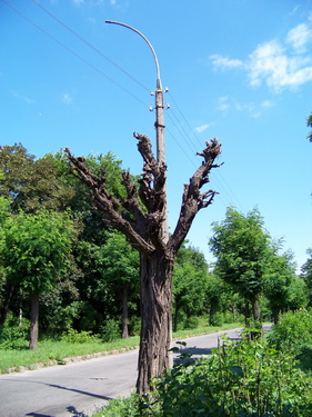 100_0087_size.jpg