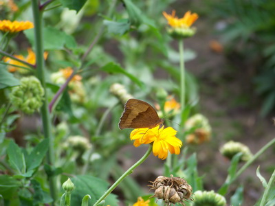 100_0091_size.jpg