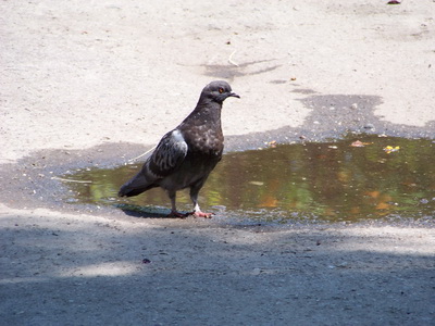 100_0101_size.jpg