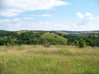 102_0012_size.jpg