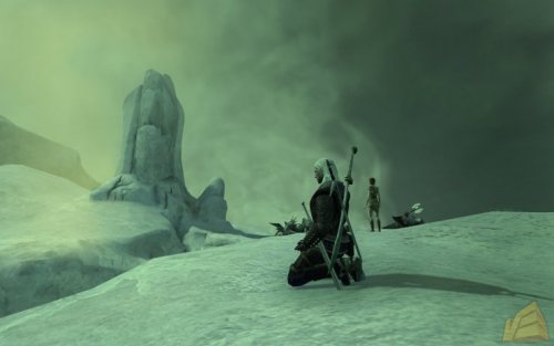 The Witcher